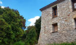 façana formigosa